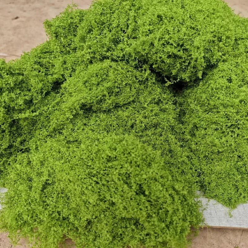 Sphagnum Moss Dry - 30g nep mos kunstmatige groene mos