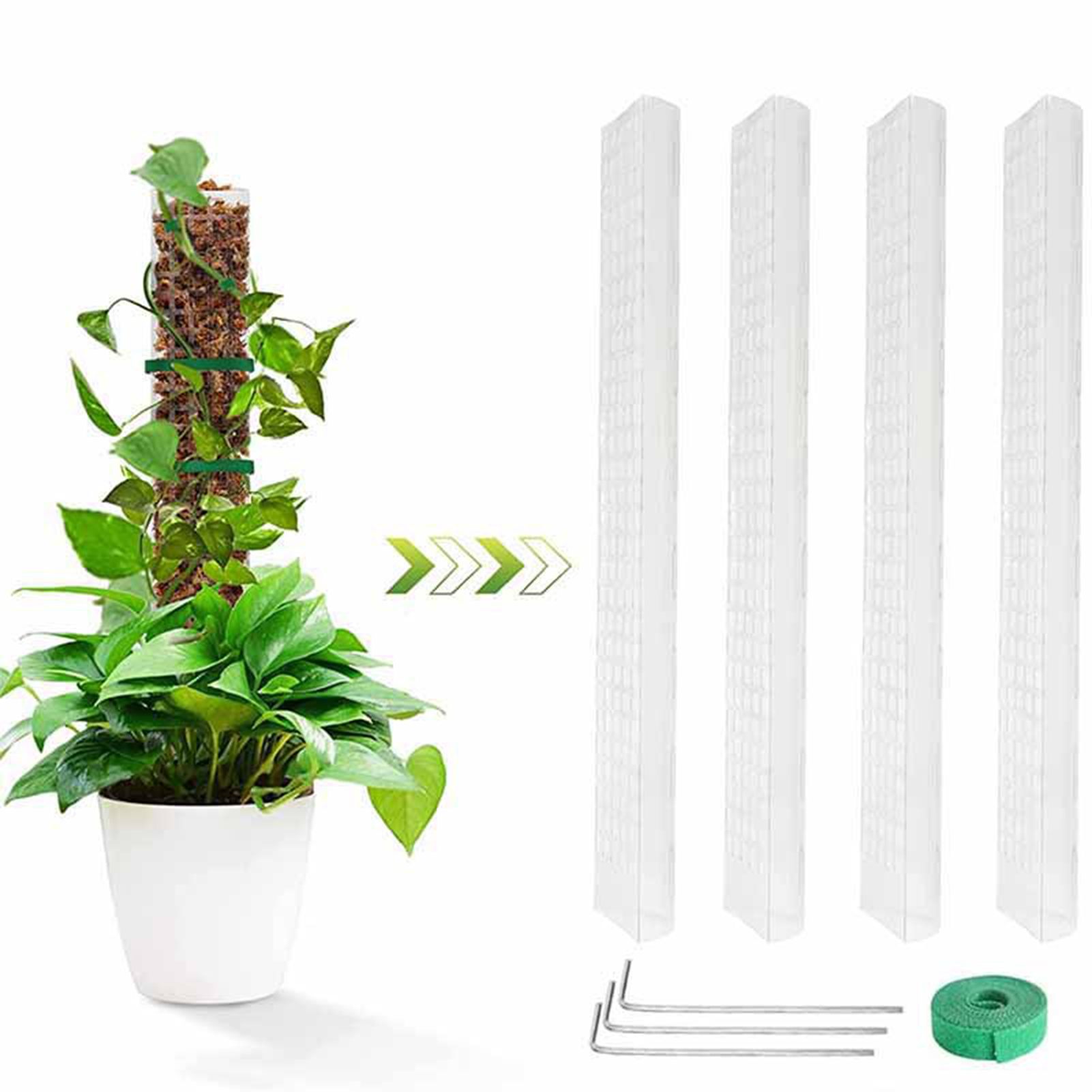 4 Stuks Klimplanten Mospaal En - Sphagnum Moss Dry recensie en prijs
