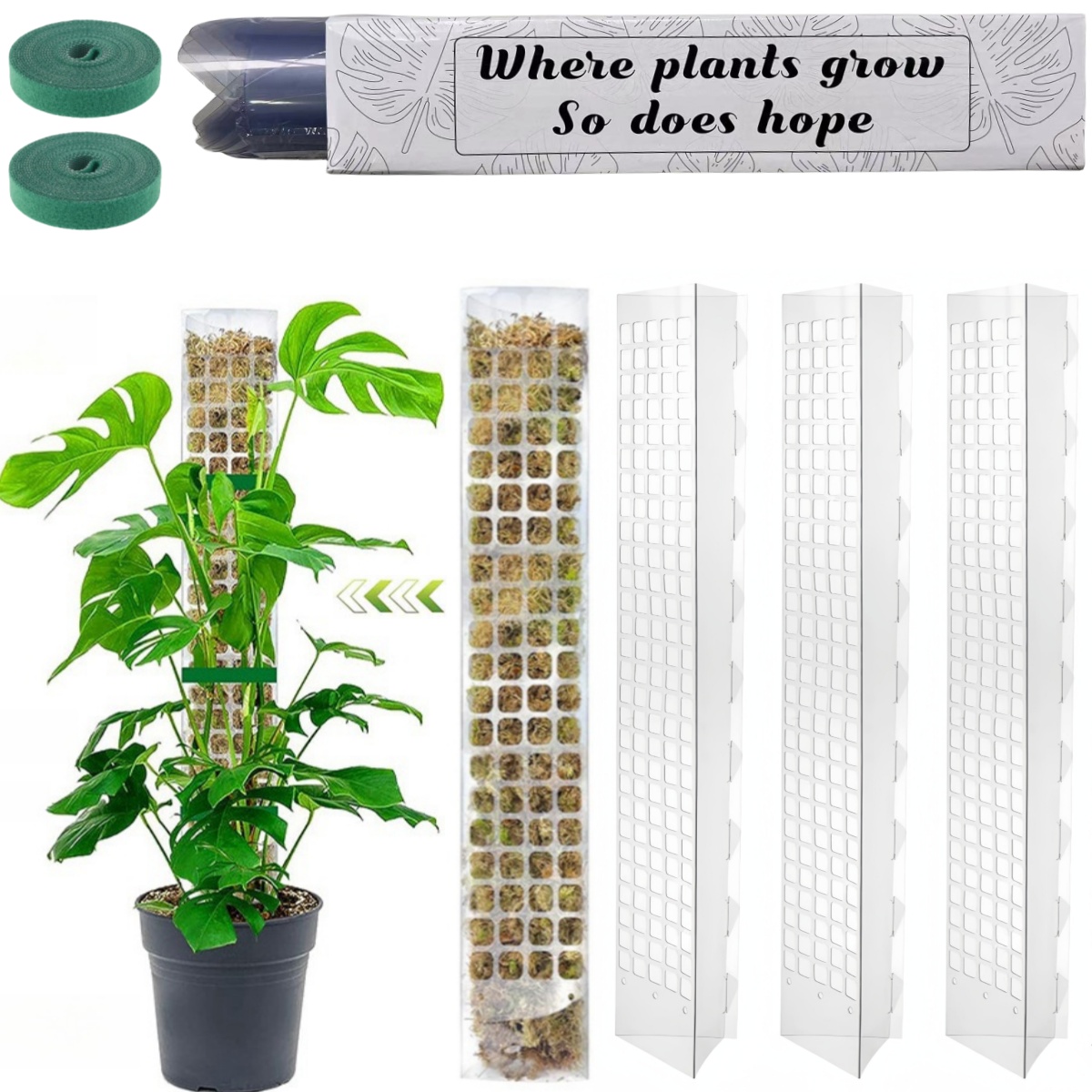 Mospaal Plastic Plant Stand In - Sphagnum Moss Dry recensie en prijs