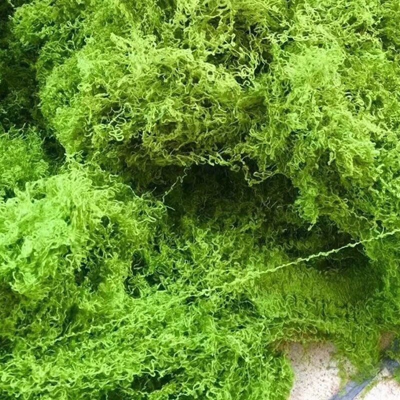 30g nep mos kunstmatige groene - Sphagnum Moss Dry recensie en prijs