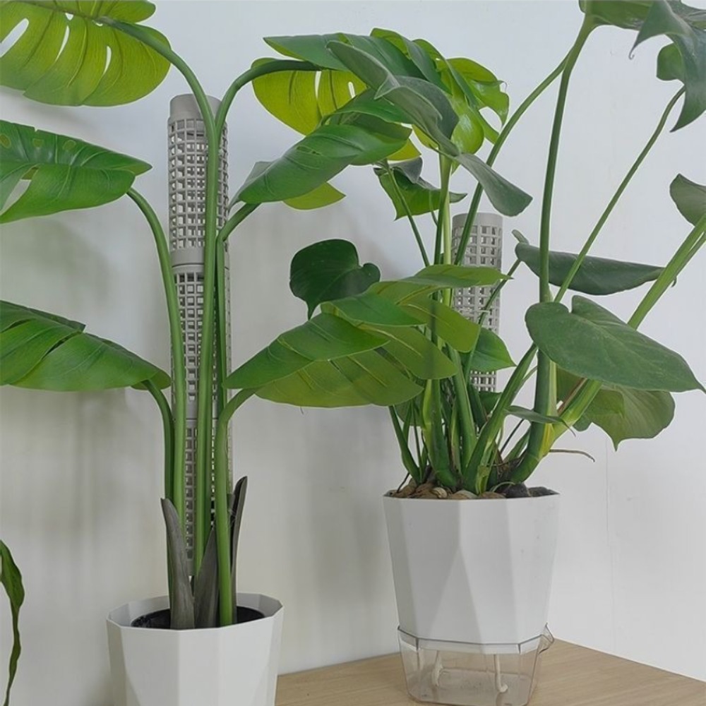 6-pack stapelbare plantenmosst - Sphagnum Moss Dry recensie en prijs
